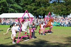 Journées du cheval-086