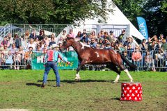 Journées du cheval-124