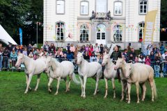 Journées du cheval - S1-234