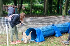 Journée du chien 2024-078