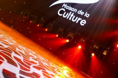 Mérites Culturels-248