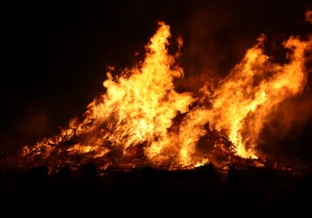 Feu de sapins 2024