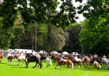 Les Journées du Cheval 2024